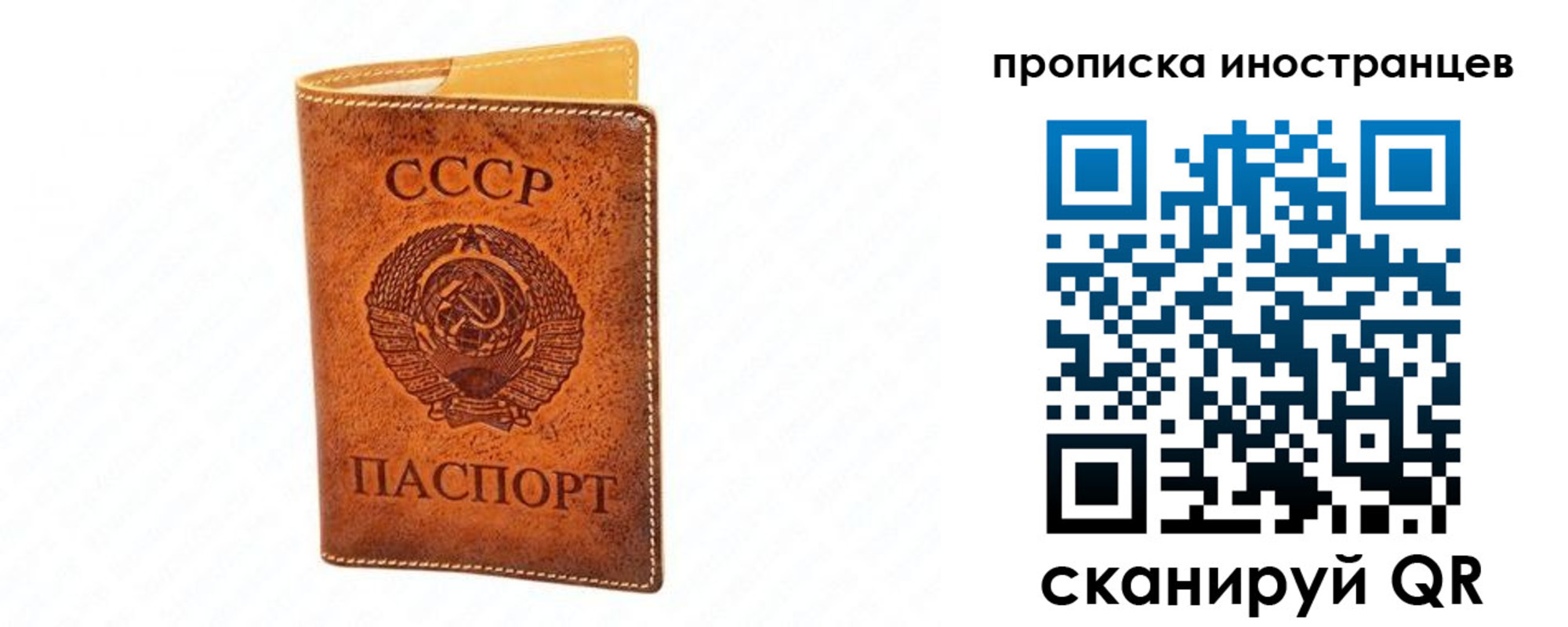прописка для школы в Невеле
