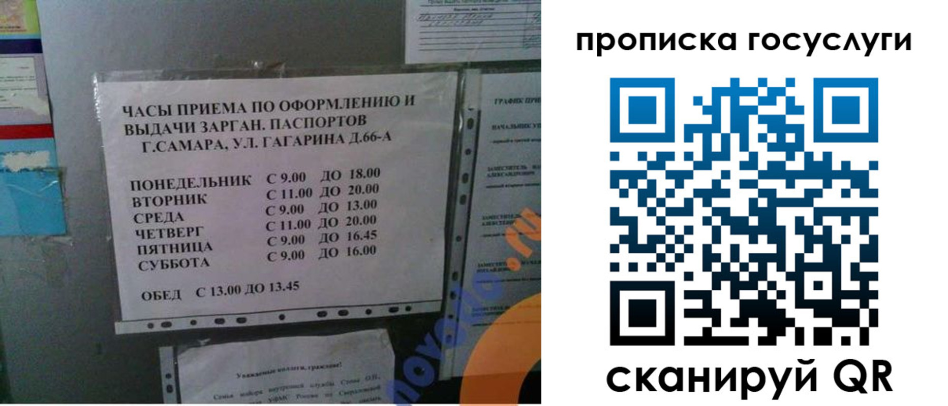 купить прописку в Невеле